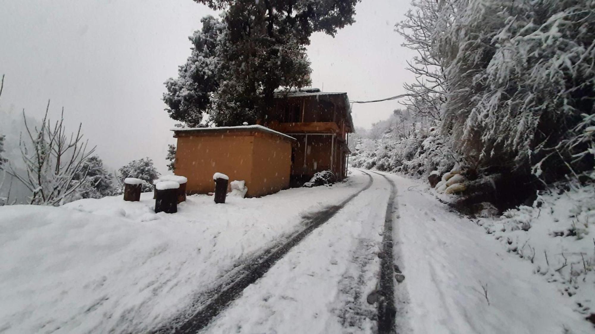 Tirthan Ecostay Gushaini Exterior foto